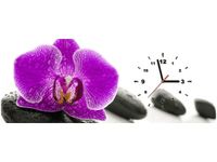 product-compare-58614081