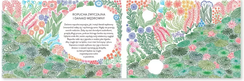 Narodziny zdjęcie 9