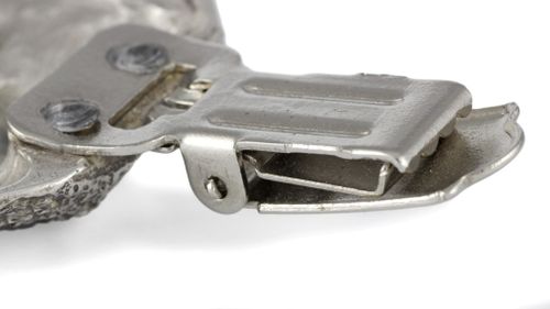 Bichon Frise - klips - 268 na Arena.pl