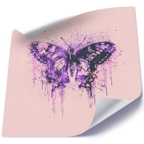Plakat, Motyl, akwarela 80x80 na Arena.pl