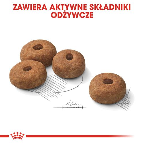 royal canin ccn maxi sterilised 12kg na Arena.pl