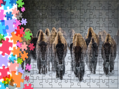 Puzzle tradycyjne Zwierzęta - Bizon