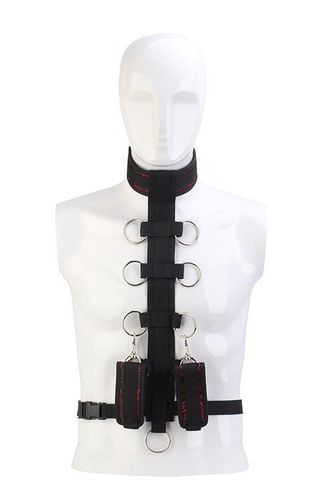 blaze deluxe collar body restraint na Arena.pl