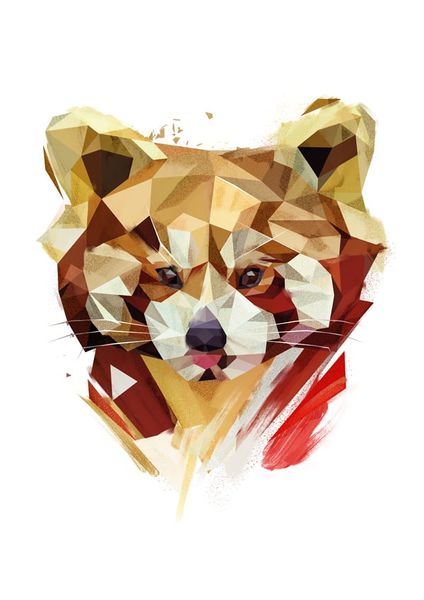 Redpanda - plakat 50x70 cm zdjęcie 1