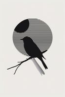 Plakat 61x91,5cm Kontrast Smukłości