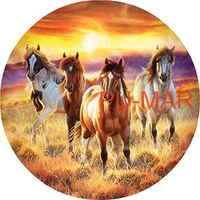 Opłatek na tort KONIE Koń Mustang Konik Kuc Urodziny Tekst Gratis