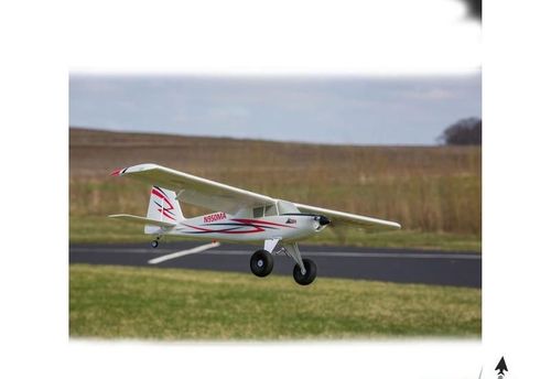 Timber PNP na Arena.pl