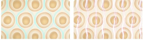 Inteligentna Waga Łazienkowa Xiaomi Mi Body Composition Scale S400 do na Arena.pl