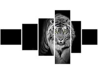 product-compare-58691209