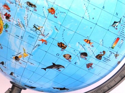 Globus ZOOLOGICZNY 220mm +książka karton APLIKACJA Produkt Polski zwierzęta na Arena.pl