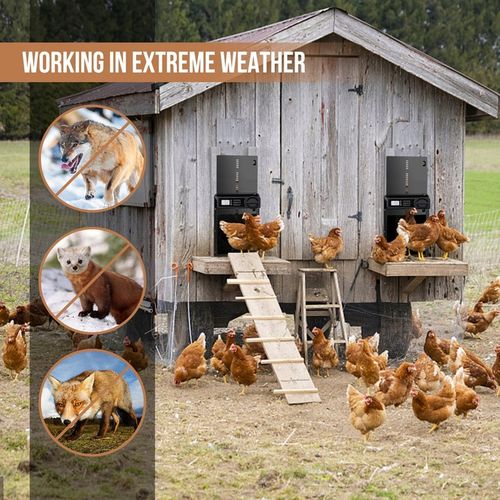 Automatyczne Drzwi Do Kurnika Z Timerem Blokada Przytrzaśnięcia Wodoodporne na Arena.pl