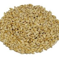 Słód pilzneński 3-5 EBC Weyermann 5 kg