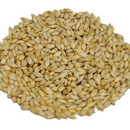 Słód pilzneński 3-5 EBC Weyermann 5 kg na Arena.pl