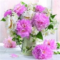 product-compare-64465302