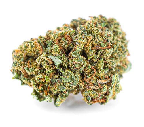 Susz konopny CBD | WHITE WIDOW | 100 g na Arena.pl