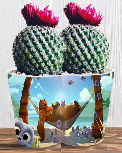 Doniczka do kwiatów/roślin - Grizzy i Lemingi na Arena.pl