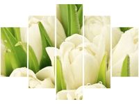 105CM 150CM OBRAZ 5 ELEM DELIKATNE TULIPANY DRUK