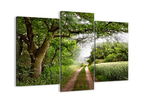 Obraz Na Płótnie - Las Pole Droga - 130X100 Cm - Cb130X100-2637 na Arena.pl