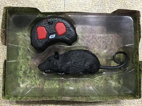 Wildroid Mysz na Arena.pl