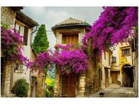 60X40CM STARE MIASTO PROWANSJI OBRAZ