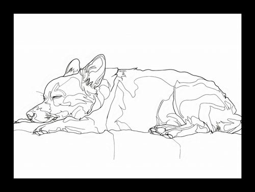 Plakat 18x13cm Śpiący Psiak na Arena.pl