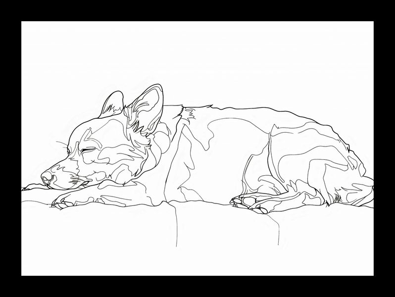 Plakat 18x13cm Śpiący Psiak zdjęcie 2