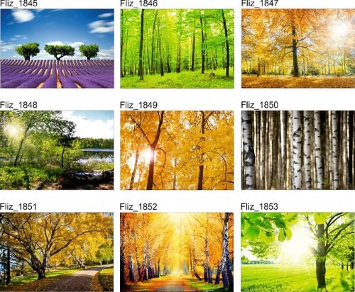 FOTOTAPETA WIDOK STATEK MORZE OCEAN na Arena.pl