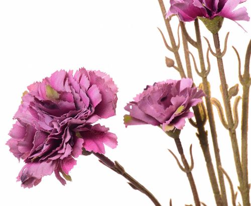 Goździk gałązka mauve na Arena.pl