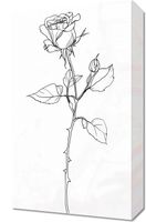 Obraz 30x50cm Kontur Róży