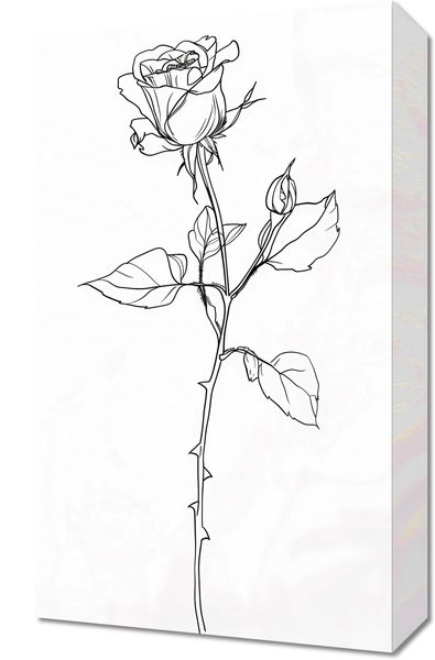 Obraz 30x50cm Kontur Róży zdjęcie 1