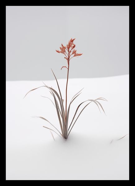 Plakat 21x29,7cm Subtelność Natury zdjęcie 2