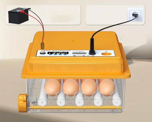 Inkubator automatycznydo jaj Chalixion FT16 regulacja temp. obrót LED woda na Arena.pl