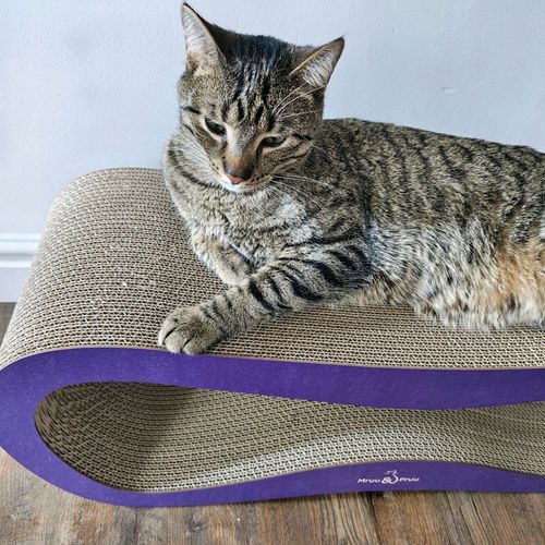 Drapak dla kota LEON | fioletowy | 78x28x24 cm | MruuPruu na Arena.pl