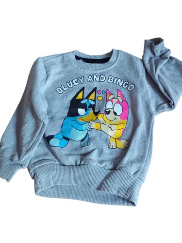 Zestaw BLUEY szary r.7 lat na Arena.pl