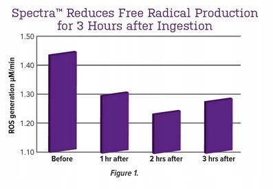 Aliness Premium Vitamin Complex 23 WITAMINY I MINERAŁY DLA MĘŻCZYZN 120t na Arena.pl