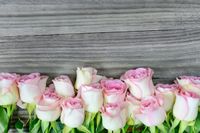 FOTOTAPETA ROŻE DESKI PIĘKNE KUCHNIA SALON 360x240