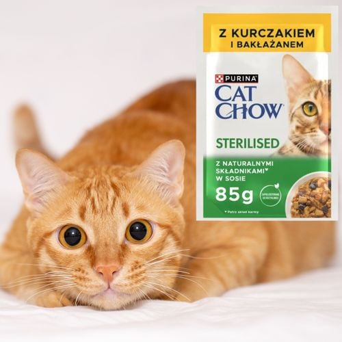karma dla kotów sterylizowanych purina cat chow kurczak z bakłażanem 85 g na Arena.pl
