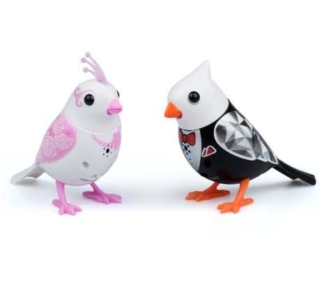Silverlit Digibirds 3 Seria Para Młoda na Arena.pl