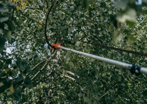 Piła teleskopowa z SEKATOREM do cięcia drzewa i gałęzi 3,75m KT-V1521-375 na Arena.pl