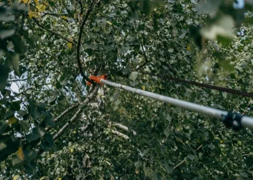 Piła teleskopowa z SEKATOREM do cięcia drzewa i gałęzi 3,75m KT-V1521-375 zdjęcie 5