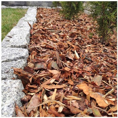 KORA SOSNOWA OGRODOWA WOREK 80L na Arena.pl