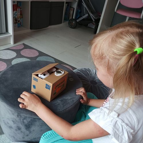 Skarbonka Kot Kotek Interaktywna Automat Miałczy Otwierana Prezent Dzieci na Arena.pl