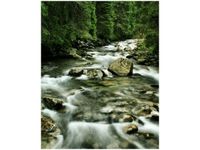 40X50CM RZEKA TATRACH OBRAZ