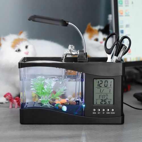Wielofunkcyjne Akwarium Mini Akwarium USB na Arena.pl