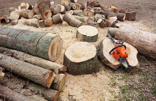 PIŁA SPALINOWA PILARKA ŁAŃCUCHOWA DO DREWNA 2X ŁAŃCUCH 2X PROWADNICA 2xOLEJ na Arena.pl