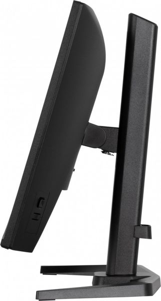 Monitor LED 24" iiyama G-Master GB2471HS-B1 Red Eagle zdjęcie 8