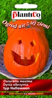 NASIONA Dynia Olbrzymia Big Max Halloween 2g PLANTICO 411128