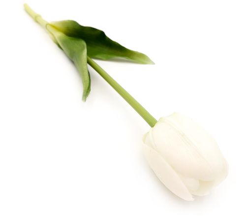 TULIPANY SILIKONOWE jak ŻYWE 40 cm TULIPAN SILIKONOWY BIAŁY na Arena.pl