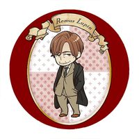 Przypinka Harry Potter