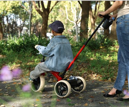 ND18_5903 Qplay Rowerek Trojkolowy Elite Pro Red na Arena.pl